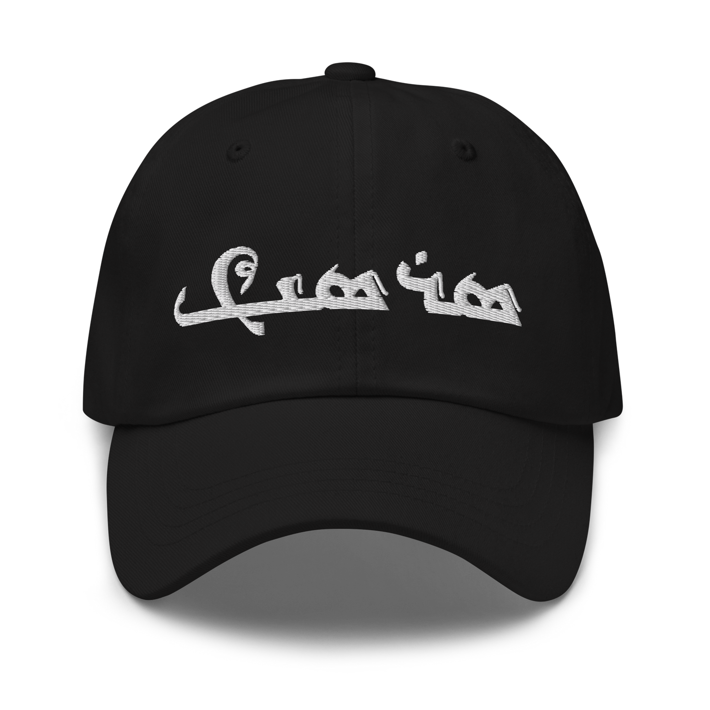Sarsink Embroidered Hat