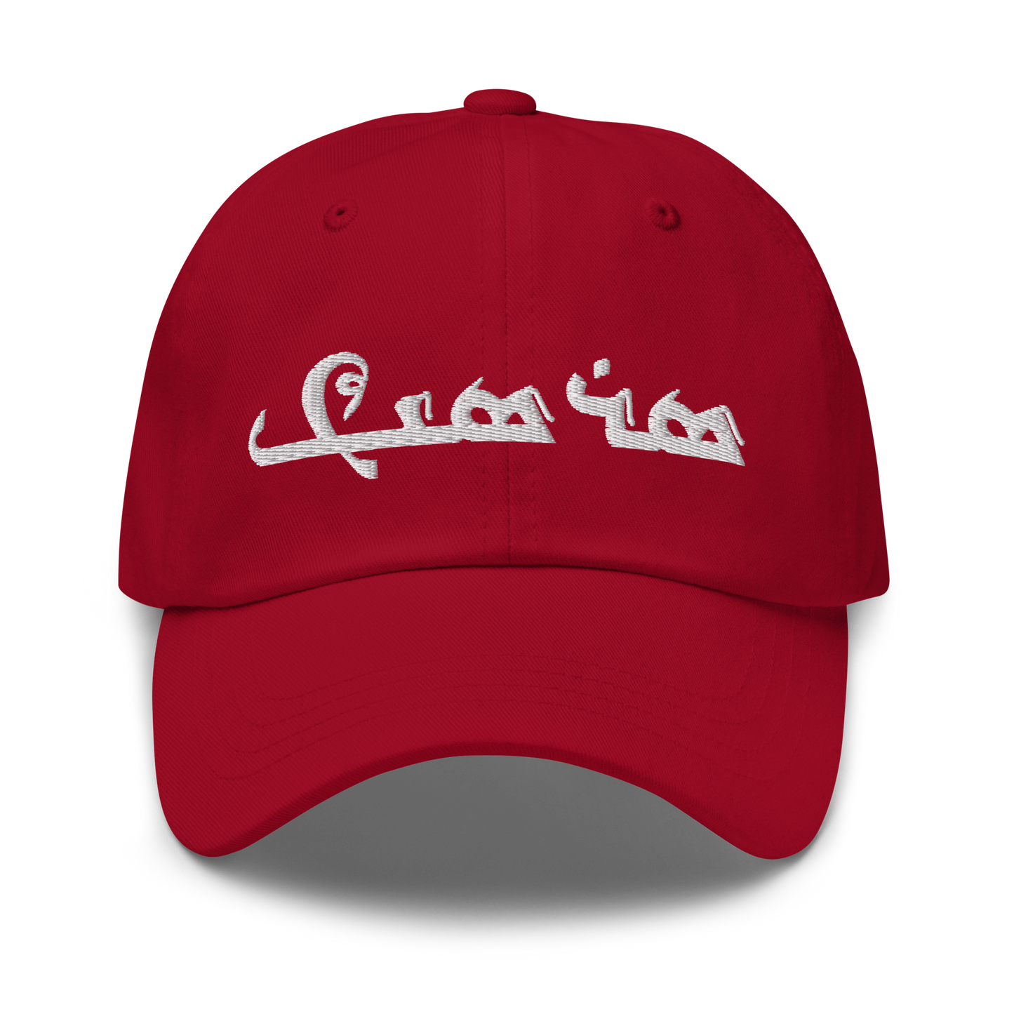 Sarsink Embroidered Hat