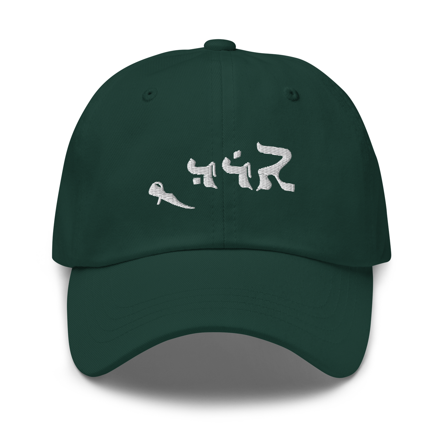Aradin Embroidered Hat