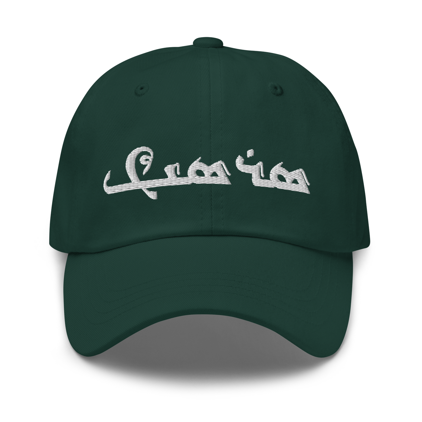 Sarsink Embroidered Hat