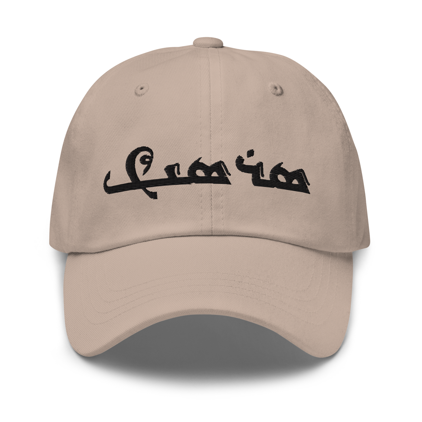 Sarsink Embroidered Hat