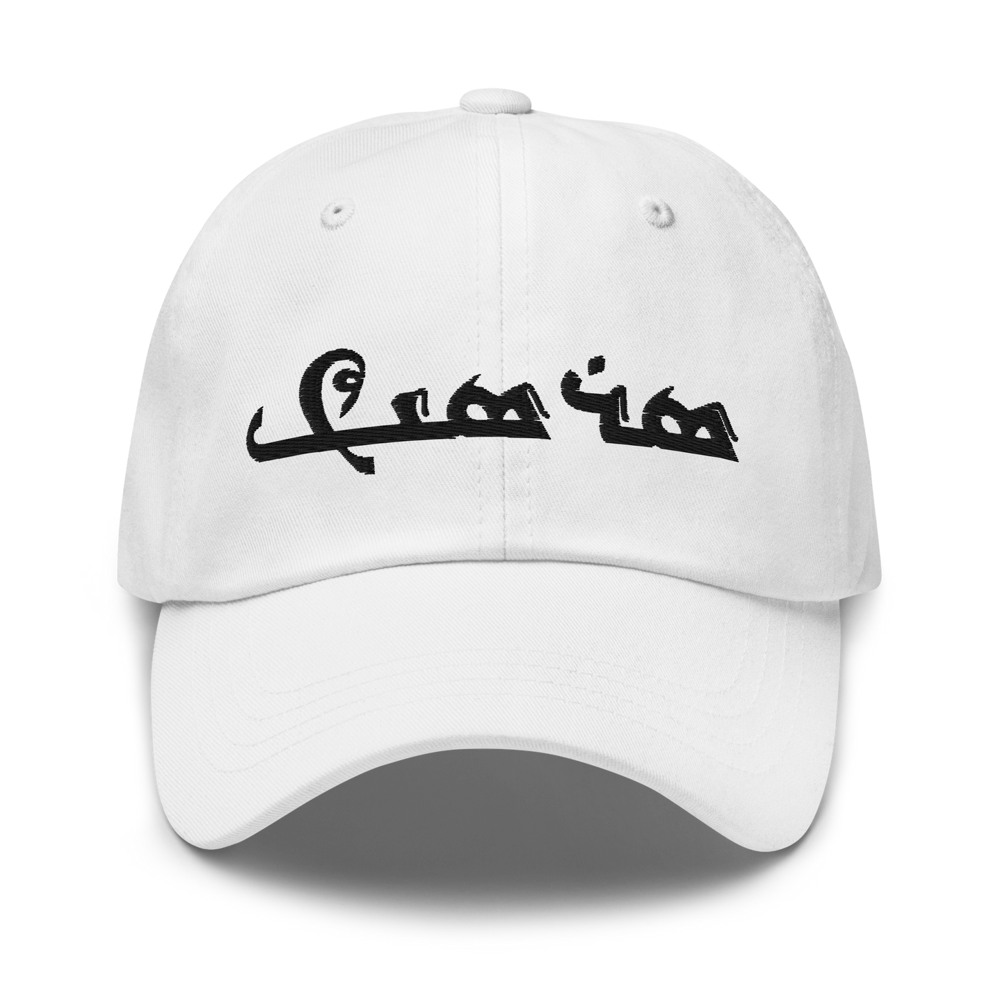 Sarsink Embroidered Hat