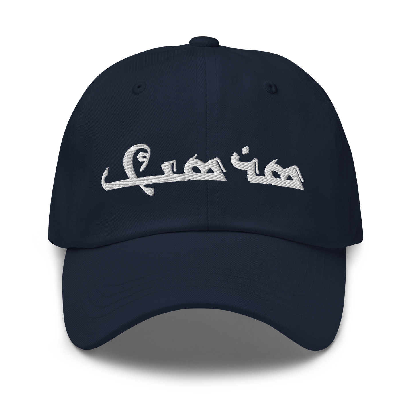 Sarsink Embroidered Hat